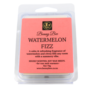 Watermelon Fizz Soy Wax Melts